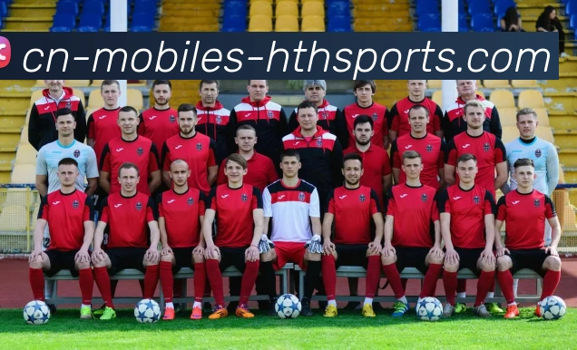 华体会hth全站App